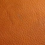 Cuir Carriat Gold